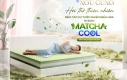 Top 1 Dẫn Đầu Các Dòng Nệm Phù Hợp Với Khí Hậu Nóng Nực – Nệm Cao Su Thiên Nhiên Điều Hòa Hybrid Matcha Cool Thắng Lợi