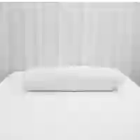 01 gối ôm bông ép