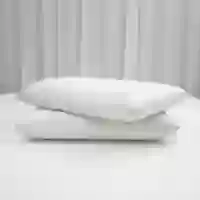 02 gối nằm cao su foam