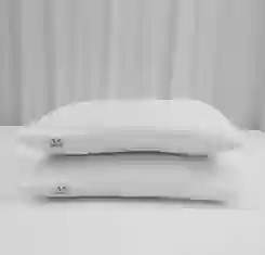 02 gối nằm bông ép