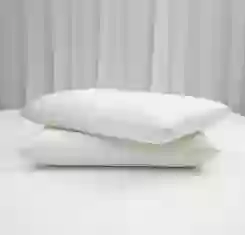 02 gối nằm cao su foam