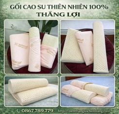 Bộ Gối Cao Su Thiên Nhiên Thắng Lợi ( 2 Nằm + 1 Ôm )