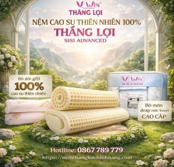 Nệm cao su thiên nhiên Thắng Lợi SiSi Advanced