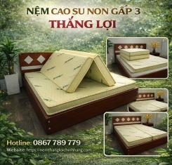 Nệm cao su non Thắng Lợi gấp 3
