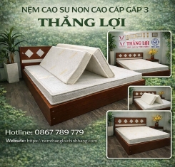 Nệm cao su non cao cấp Thắng Lợi gấp 3