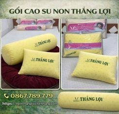 Bộ Gối Cao Su Non Thắng Lợi ( 2 Nằm + 1 Ôm )