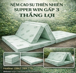 Nệm cao su thiên nhiên Super Win Thắng Lợi gấp 3
