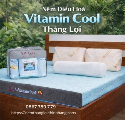 Nệm điều hòa Thắng Lợi Vitamin Cool