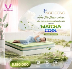 Nệm Cao Su Thiên Nhiên Điều Hòa Hybrid Matcha Cool Thắng Lợi