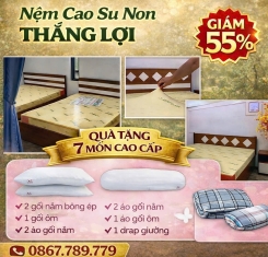 Nệm cao su non Thắng Lợi