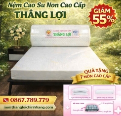 Nệm cao su non cao cấp Thắng Lợi