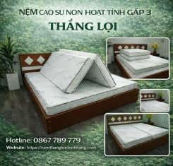 Nệm cao su hoạt tính Thắng Lợi Gấp 3