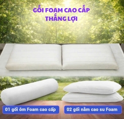 Bộ Gối Cao Su Foam Thắng Lợi ( 2 Nằm + 1 Ôm)