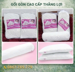 Bộ Gối Gòn Cao Cấp Thắng Lợi ( 2 Nằm + 1 Ôm )