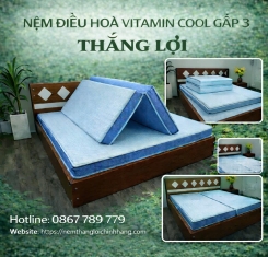 Nệm điều hòa Thắng Lợi Vitamin Cool gấp 3
