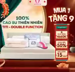 Nệm cao su thiên nhiên Thắng Lợi Titi Double Function