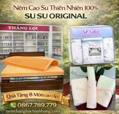 Nệm cao su thiên nhiên Thắng Lợi SuSu Original