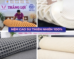 NỆM CAO SU THIÊN NHIÊN