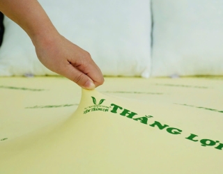 Các Dòng Nệm Cao Cấp Nhất Hiện Nay, Phù Hợp Với Khí Hậu Việt Nam