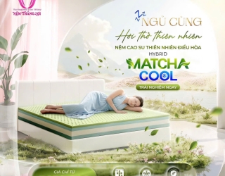 Top 1 Dẫn Đầu Các Dòng Nệm Phù Hợp Với Khí Hậu Nóng Nực – Nệm Cao Su Thiên Nhiên Điều Hòa Hybrid Matcha Cool Thắng Lợi