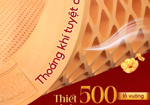 NỆM THẮNG LỢI - ĐẠT CHỨNG NHẬN HÀNG VIỆT NAM CHẤT LƯỢNG CAO BÌNH CHỌN NĂM 2025 - THỜI SỰ VTV1